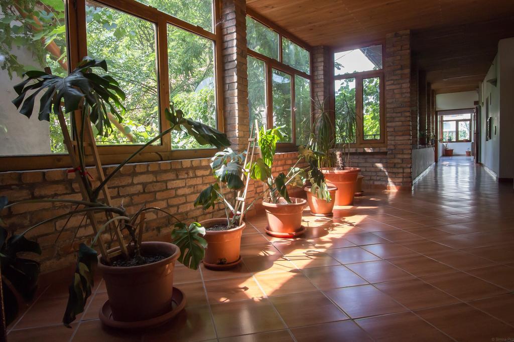 Albatros Hotel Calarasi  Buitenkant foto